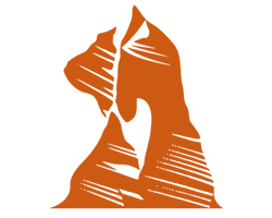 Canvas Logo